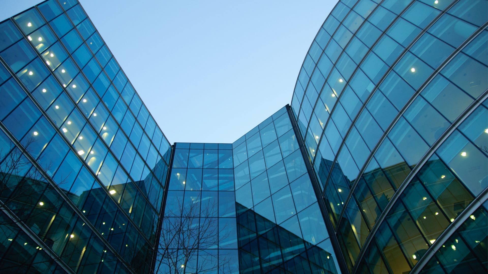 You are currently viewing Booz : Histoire, Conseil et Non-Concurrence Décryptés