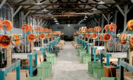 Lean management : définition, principes et exemples en entreprise